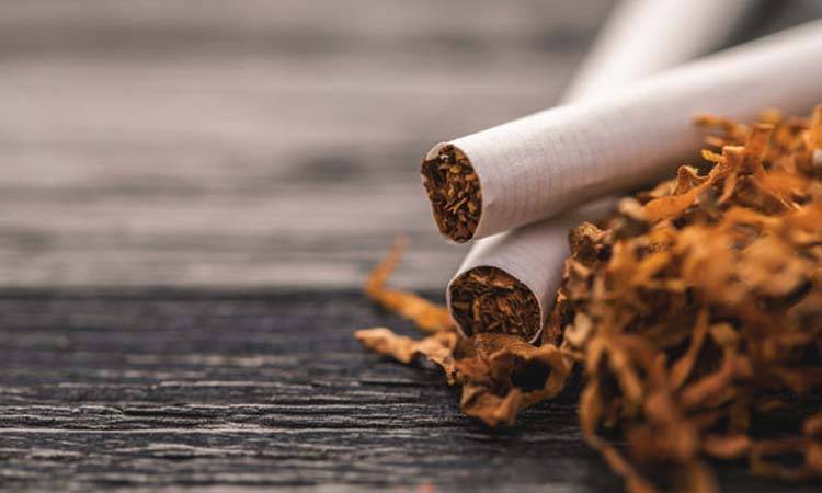 Indus Health Networks Come Forward To Control Tobacco