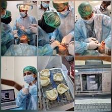 Royal Academy of Facial Aesthetic conducts sessions on Dental, Laser Implant