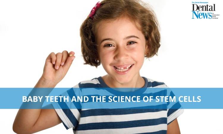 Baby Teeth and the Science of Stem Cells