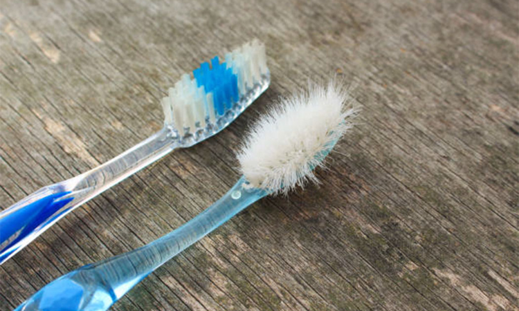 Study reveals that majority of the people change their toothbrush every 3 months 