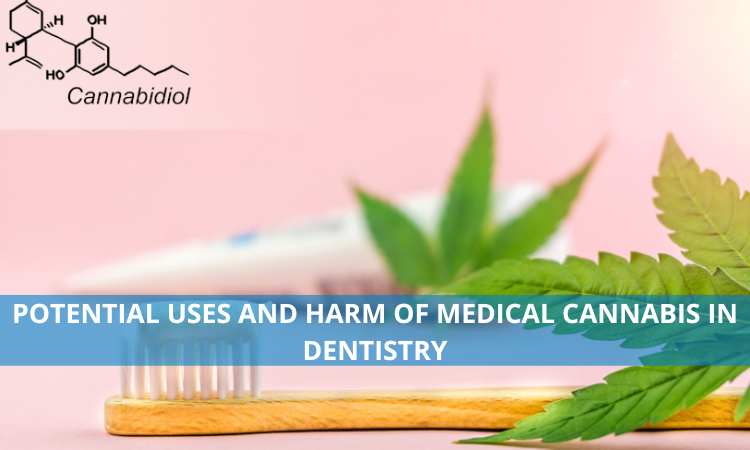 Potential Uses and Harm of Medical Cannabis in Dentistry