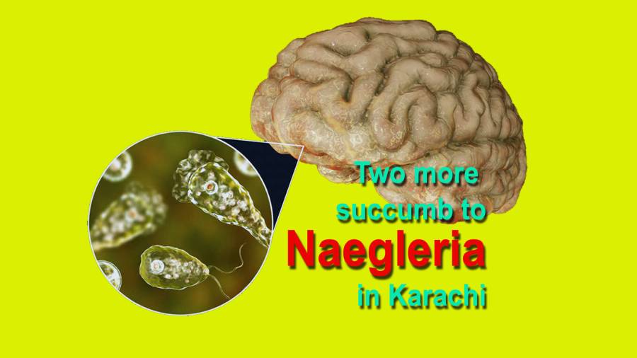 Two more succumb to Naegleria in Karachi