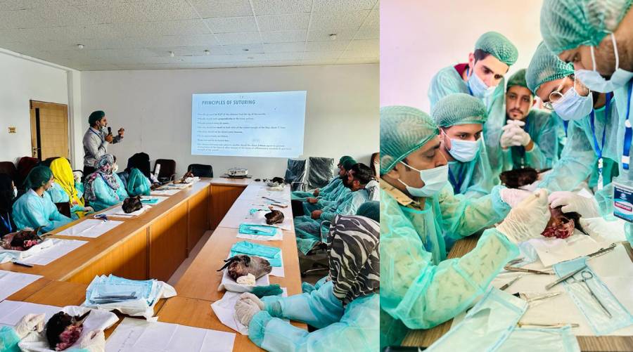 BDMC arranges hands-on workshop on basic dental surgery skills