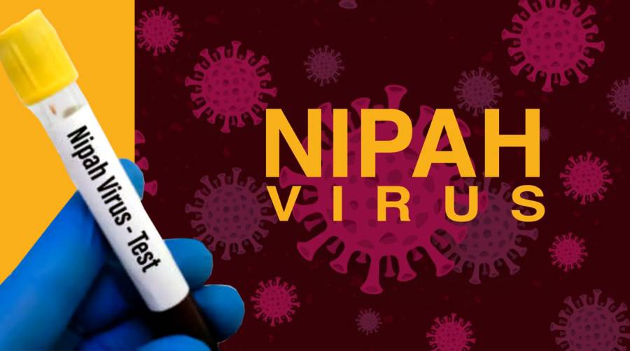 Nipah virus epidemic: health department issues high alert in Punjab