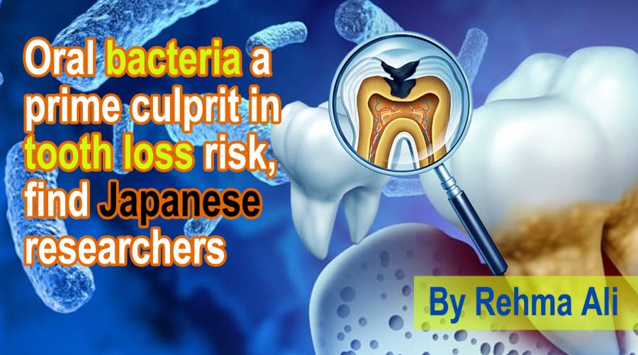 Oral bacteria a prime culprit in tooth loss risk, find Japanese researchers